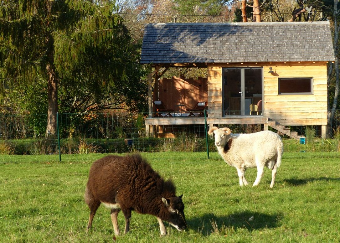La cabane et ses moutons La cabane et ses moutons