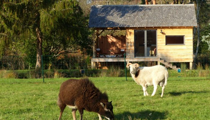 La cabane et ses moutons